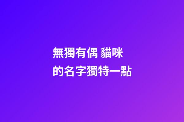 無獨有偶 貓咪的名字獨特一點